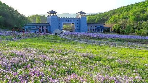 喜報(bào)！鳳城市大梨樹(shù)村再獲四項(xiàng)“國(guó)字號(hào)”榮譽(yù)